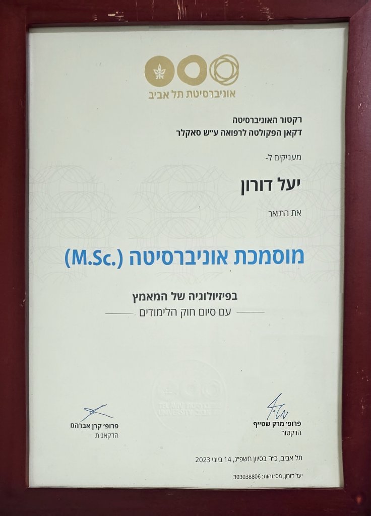 תעודה 3