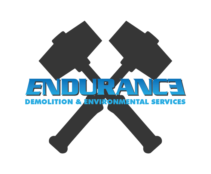 ENDURANCE logo