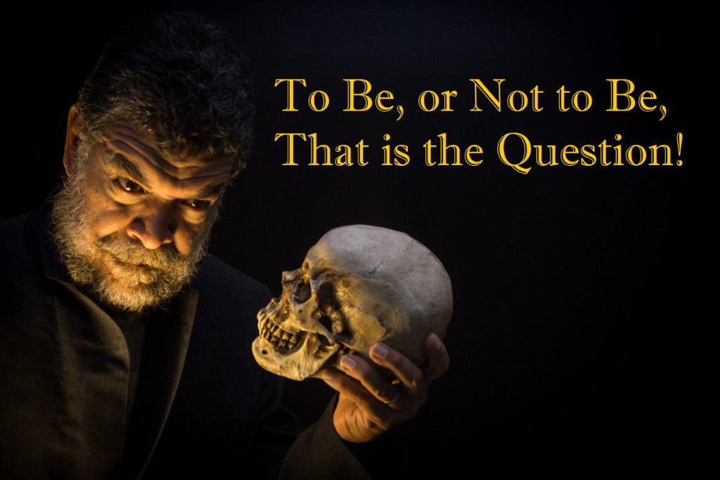 Hamlet's dilemma in negotiation