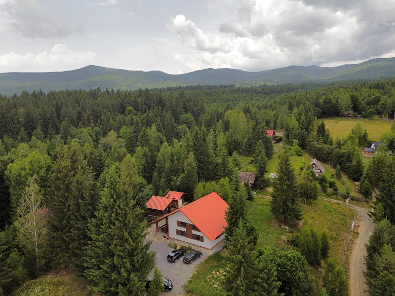 Harghita Qestia Escape, pensiune în Transilvania, înconjurată de peisaje montane și păduri de conifere.