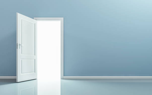 Interior Doors