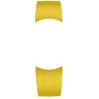 Yellow Leather