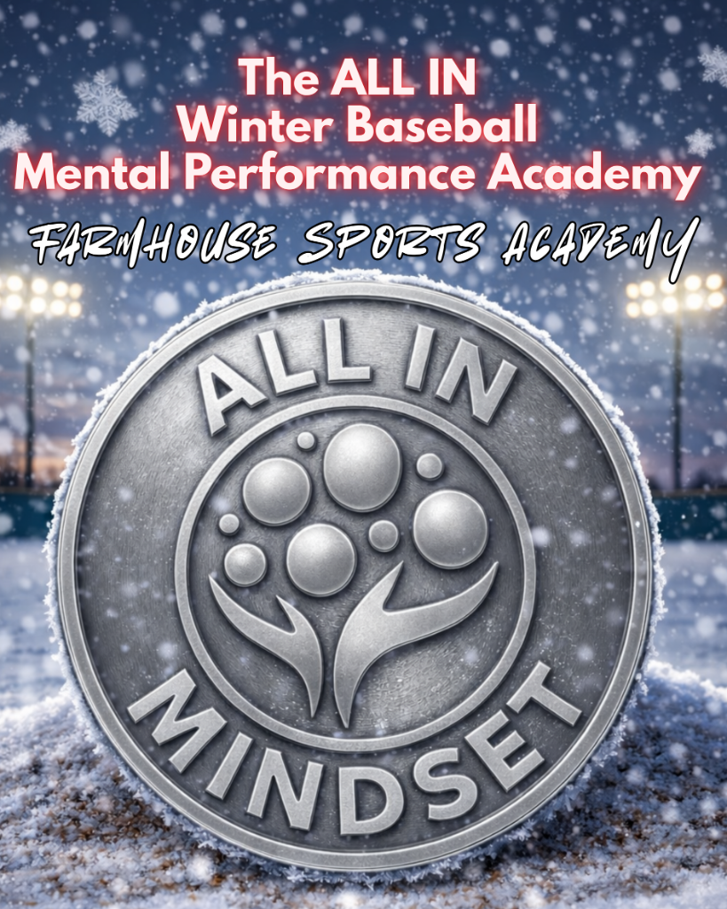 The ALL IN MINDSET™ Winter Baseball Academy