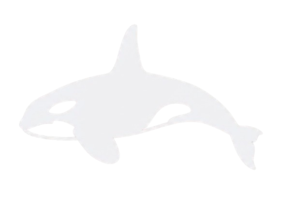 The Orca Club