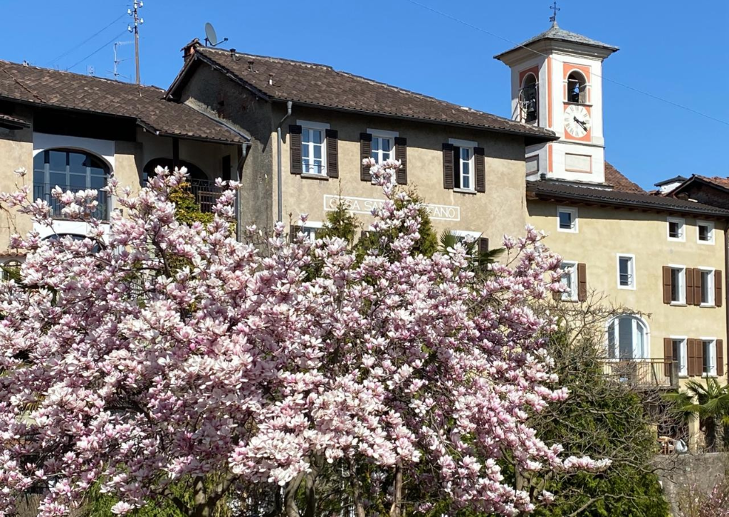 Haus mit Blumen