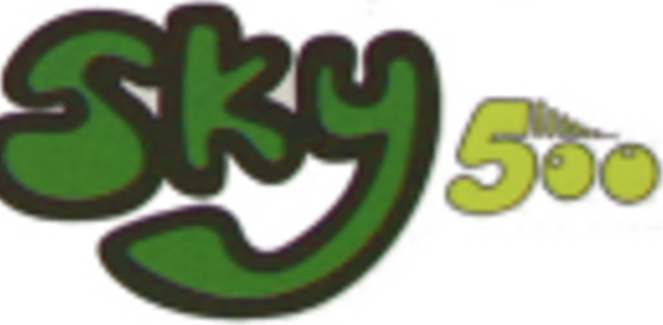Sky500