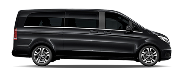 MPV Plus