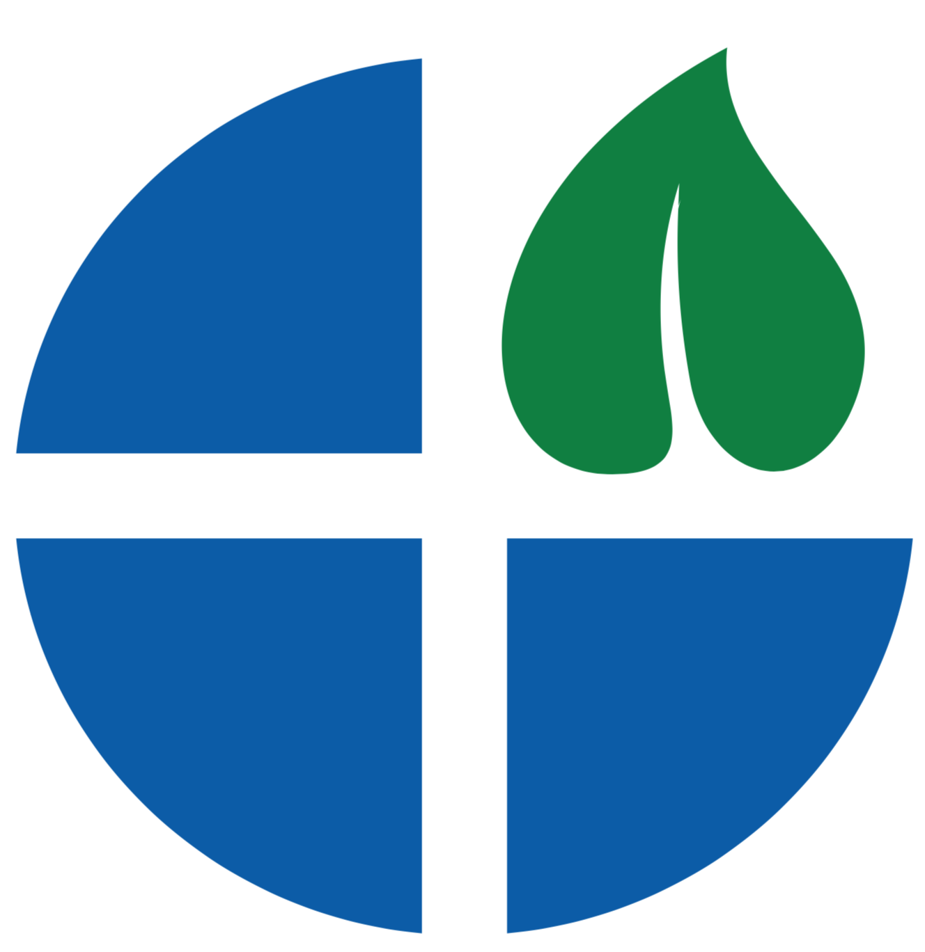 Cosmovision Herbals logo