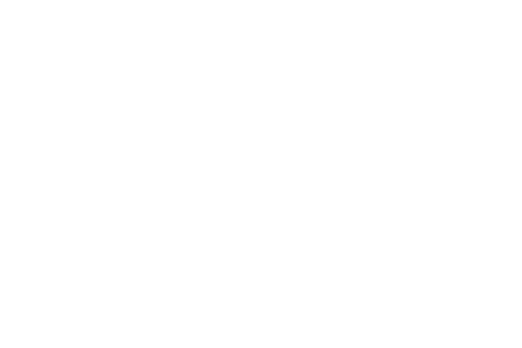 Night to Shine