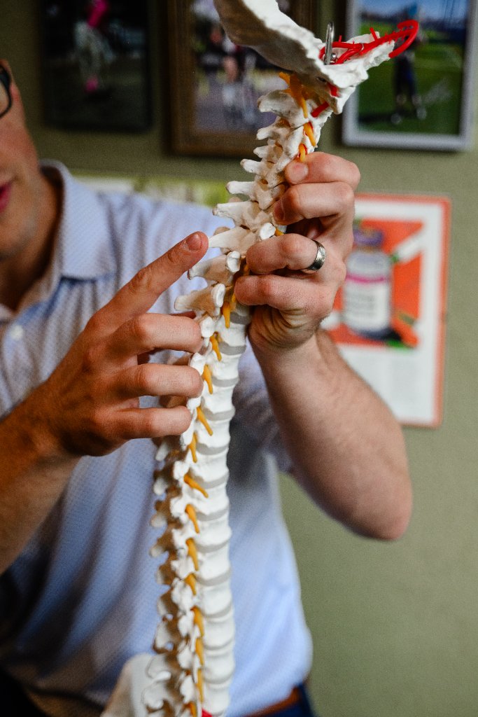 DocSpitz demonstrating spine model