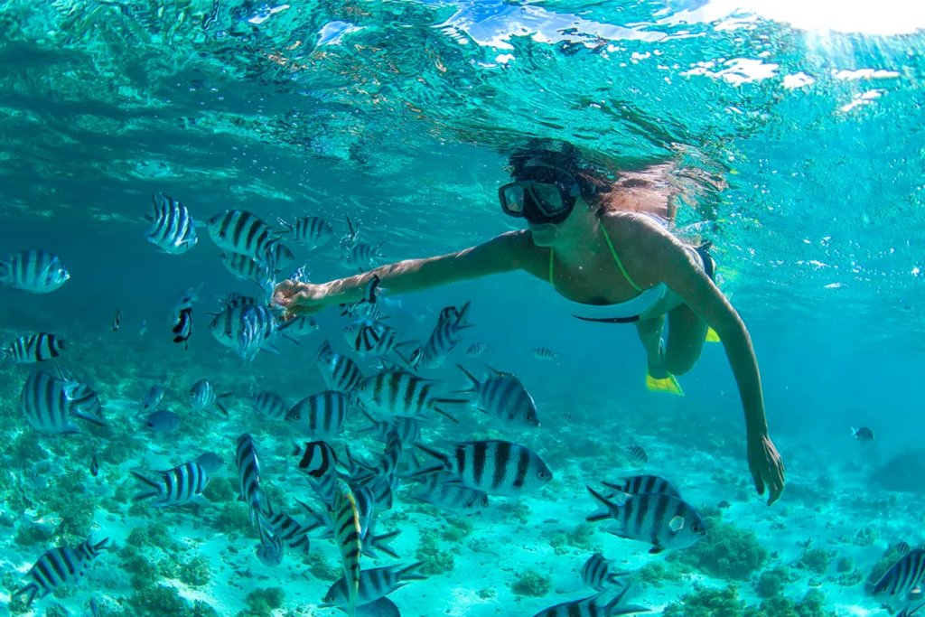 Cozumel - [object Object]