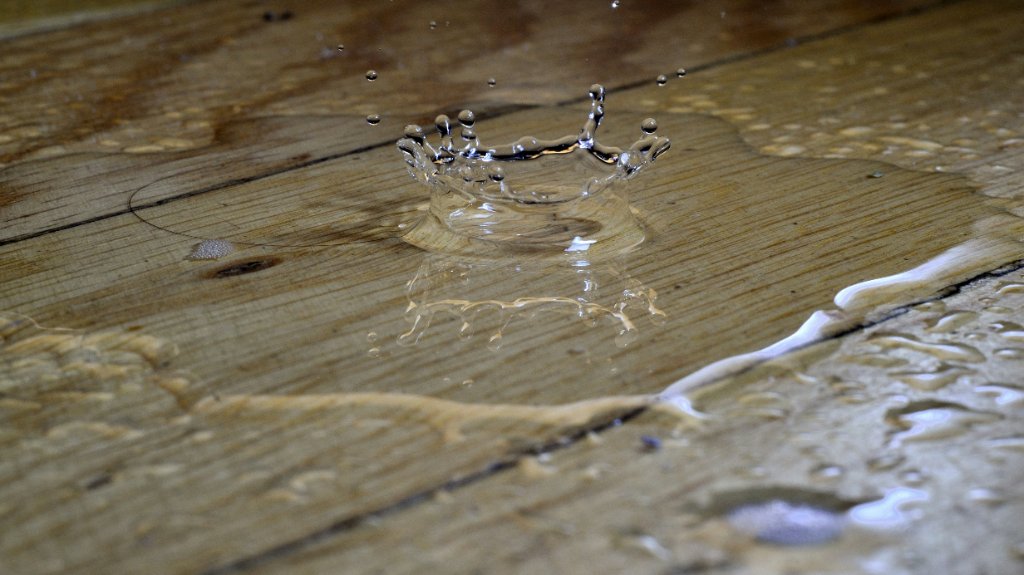 Springfield's Complete Guide to Water Damage Repair (2026 Edition)