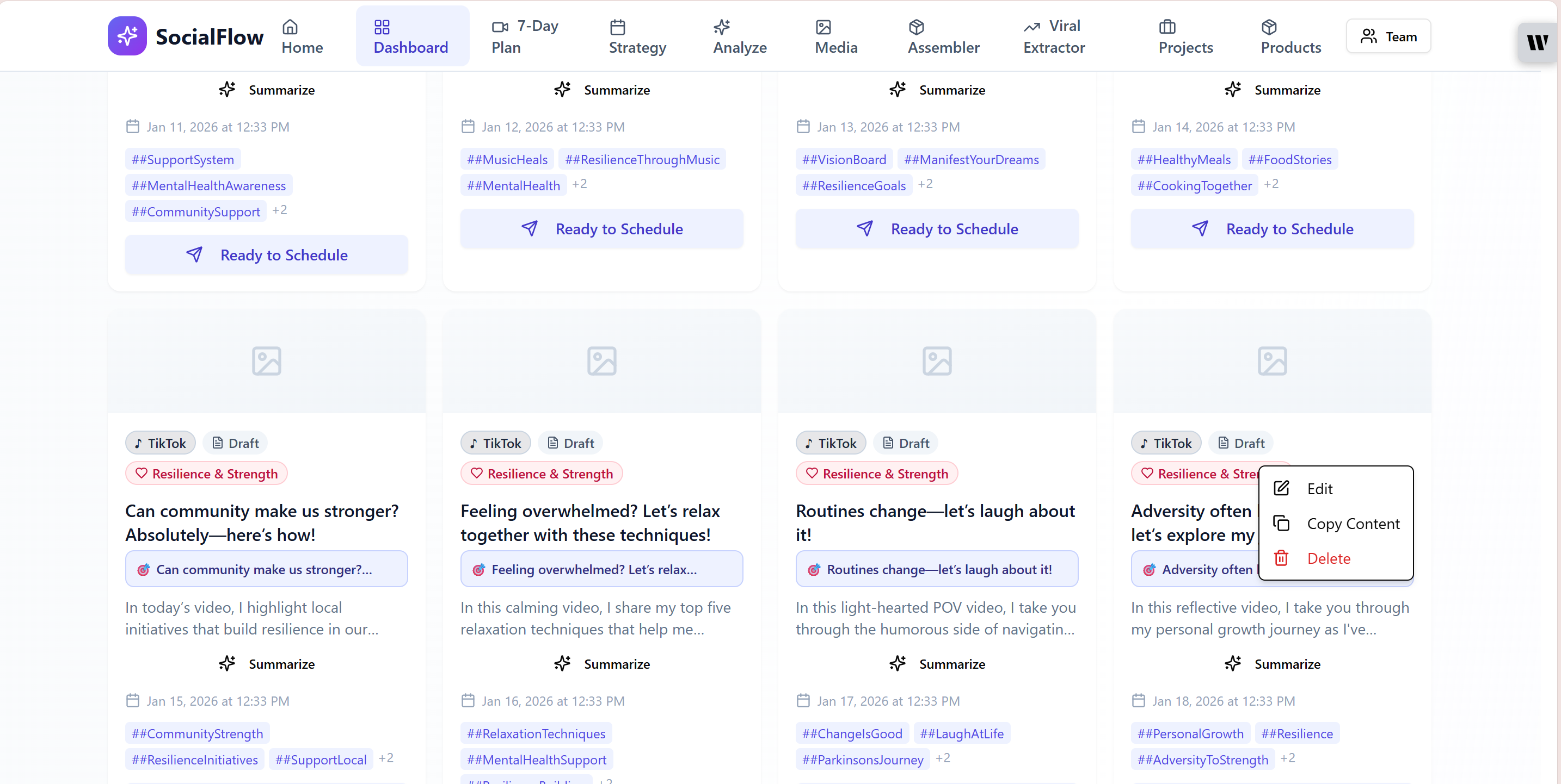 Social Flow template preview
