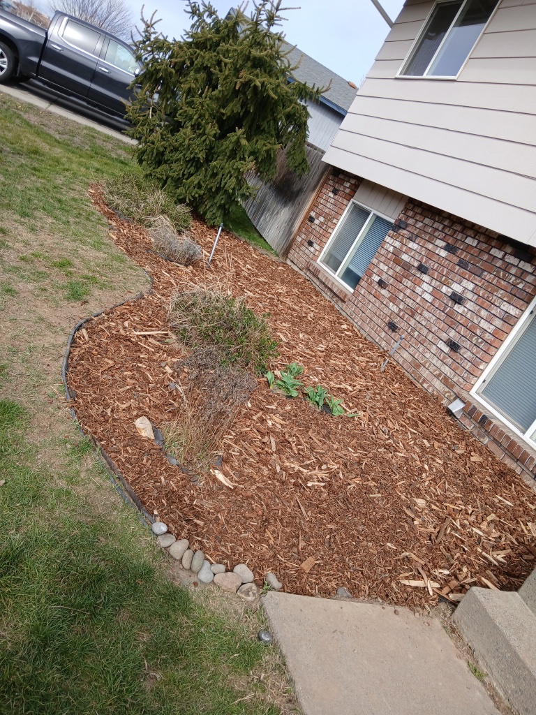 Property Bed Refresh