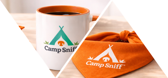 Camp Sniff welcome package