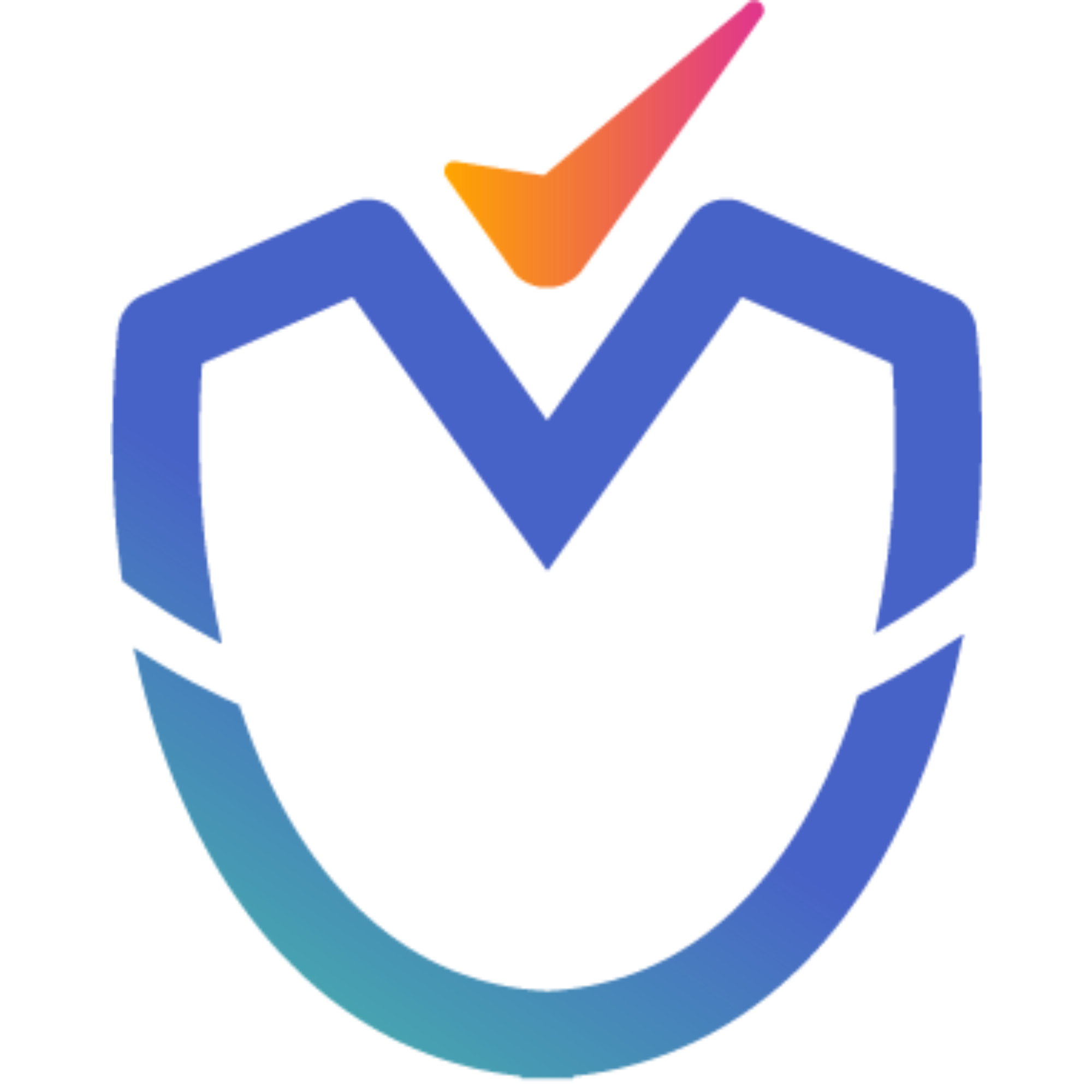 MiCA Check logo