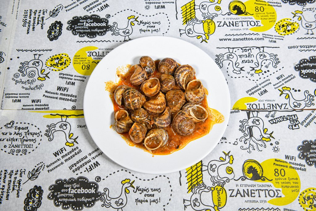Traditional Meze dish 16