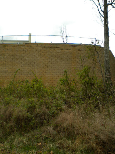 Stacked stone block retaining wall with natural vegetation in residential area