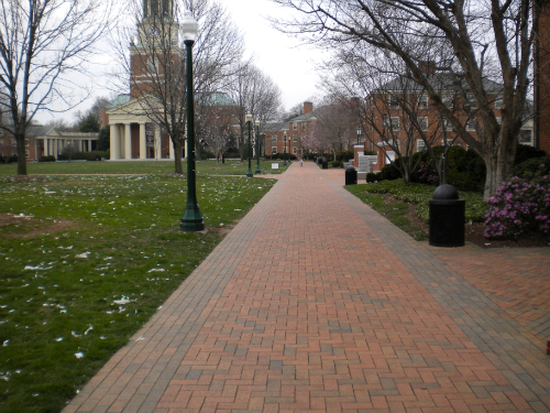 Herringbone pattern brick walkway with accent color border at university campus