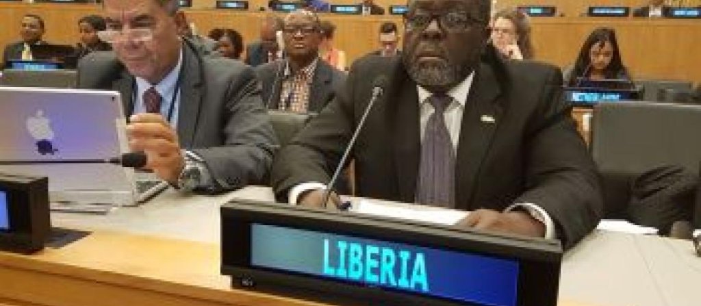 LIAFO to President Boakai: Withdraw Liberia's UN Ambassador Now