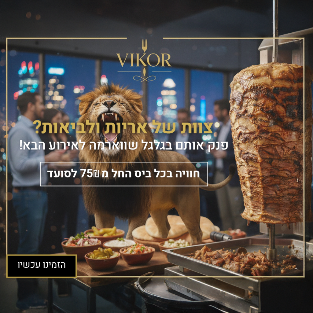 VIKOR - עיצוב פרסומת דיגיטלית