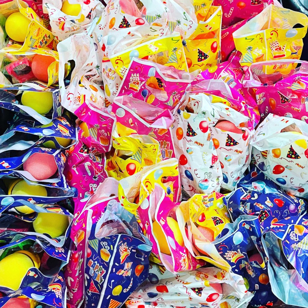 Swag Bags birthday party add-on at Allegan Event Michigan