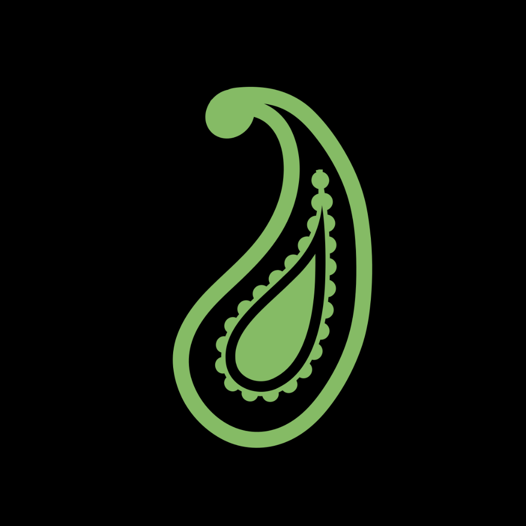 Paisley Payments Logo