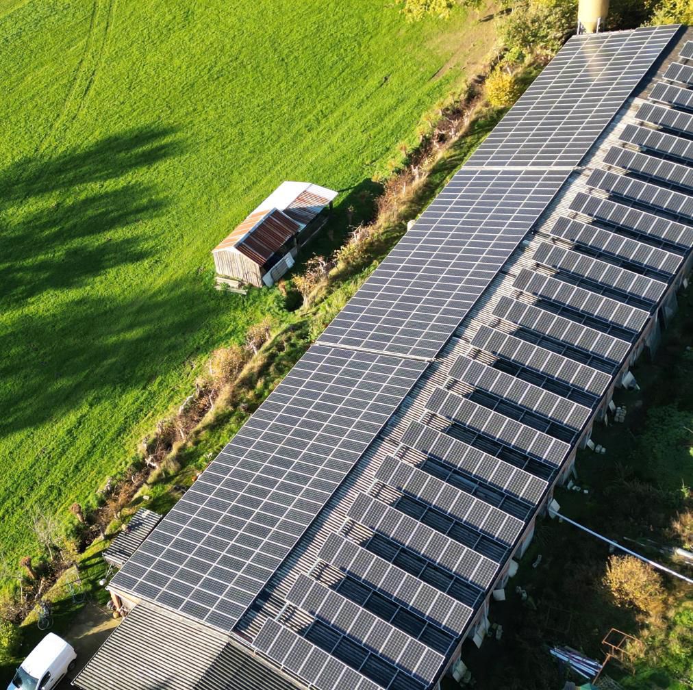 Zonnepanelen Hoeve Kempiko - Duurzame aardbeienteelt