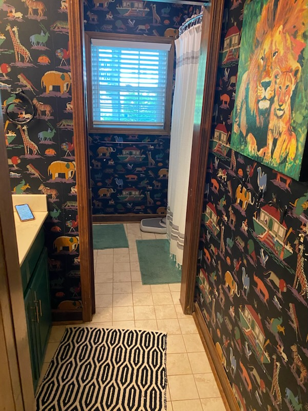 Before: Bathroom Renovation
