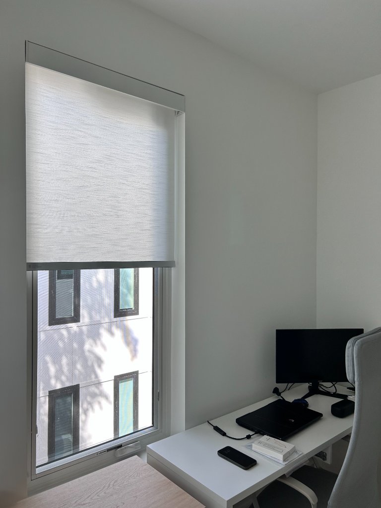 Roller Blinds - Office