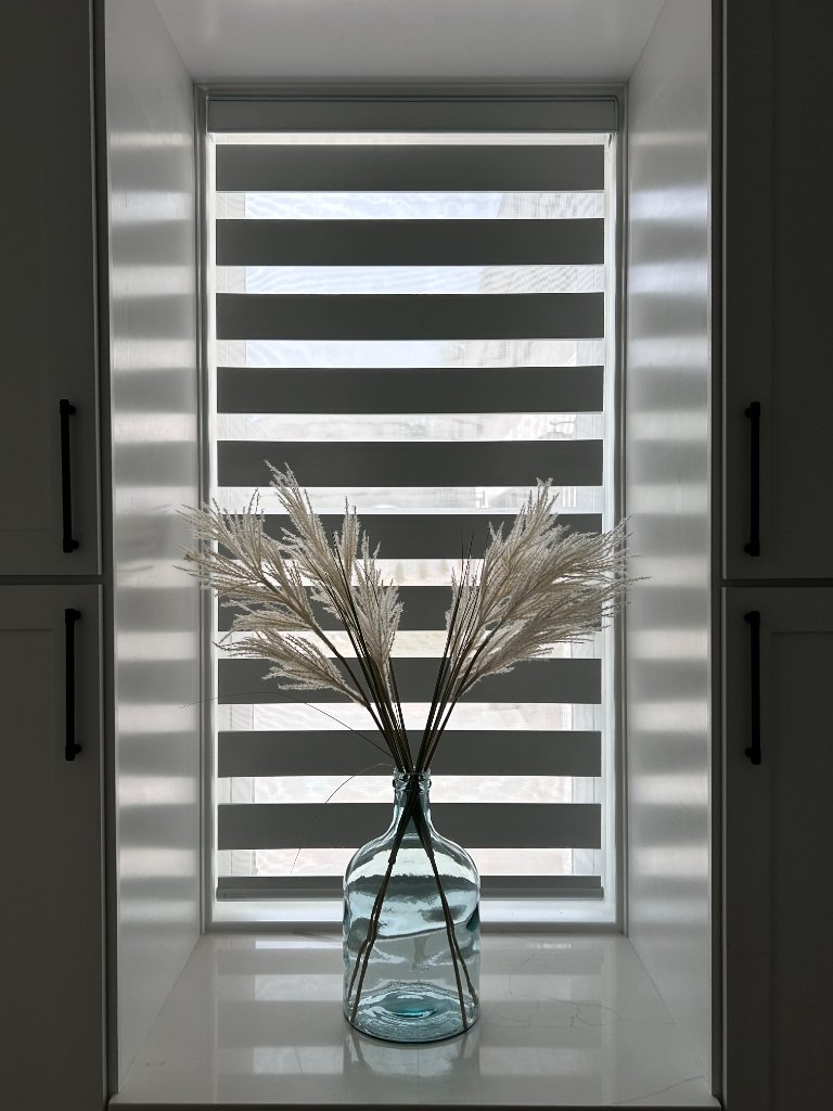 Zebra Blinds - Walk-in Closet Window