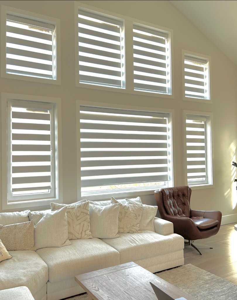 Zebra Blinds - Living Room