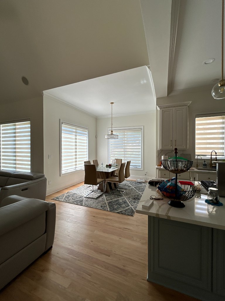 Zebra Blinds - Whole House