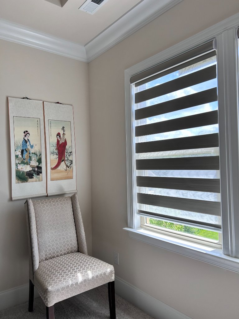 Zebra Blinds