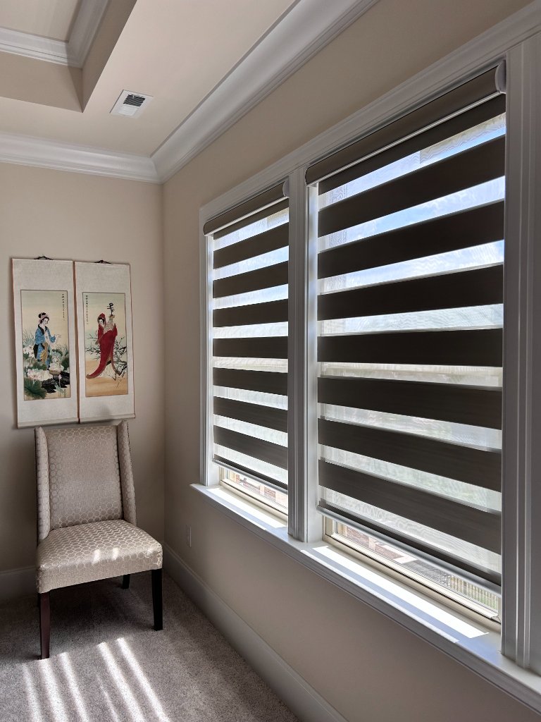 Zebra Blinds