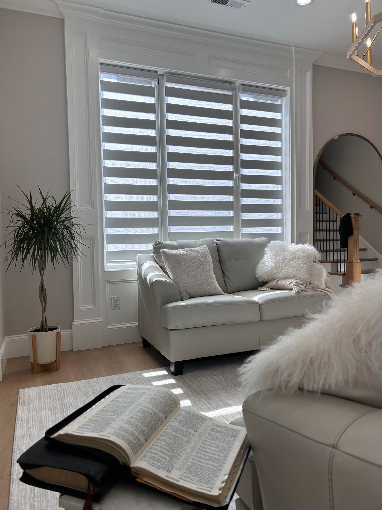 Zebra Blinds - Entryway
