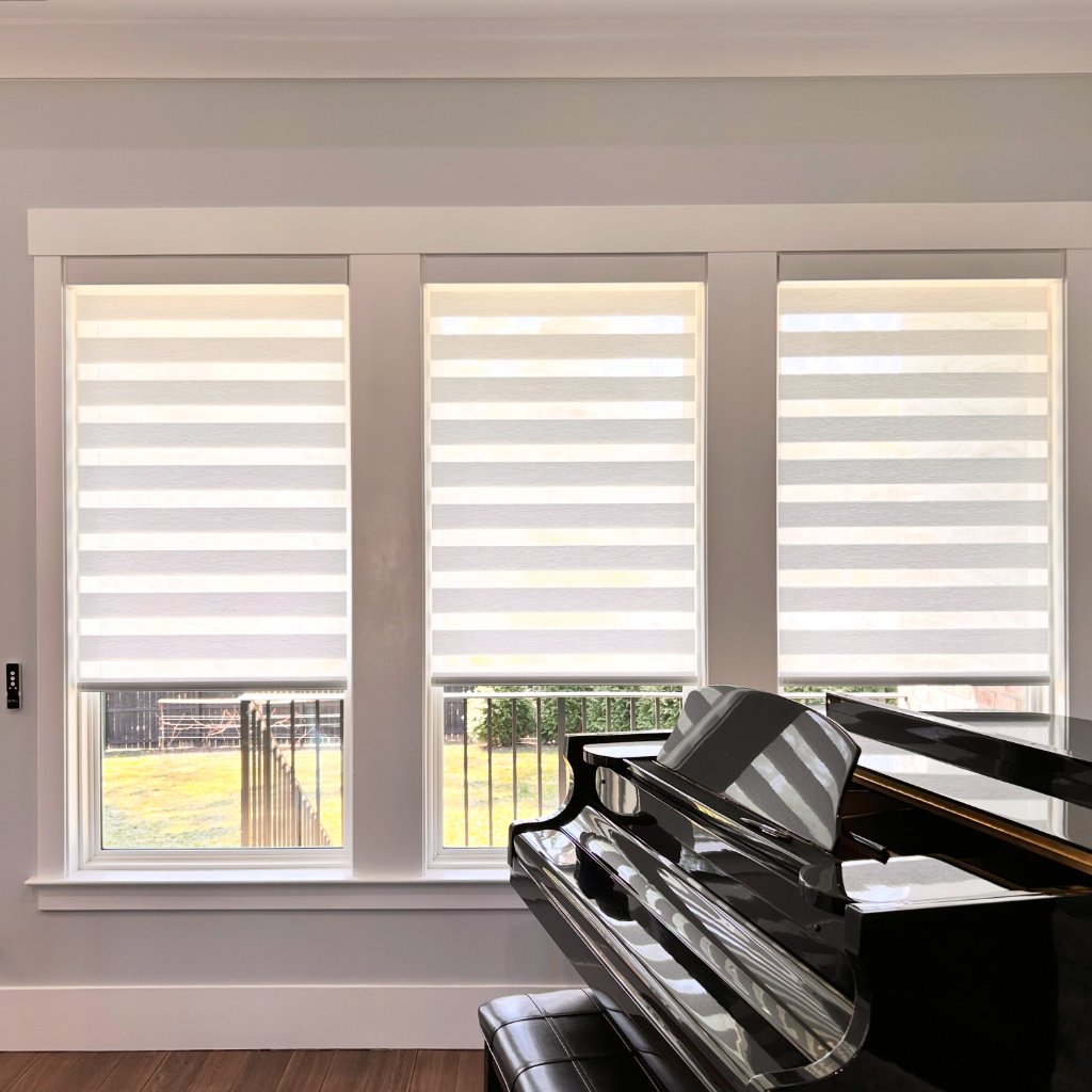 Zebra Blinds - Piano Room