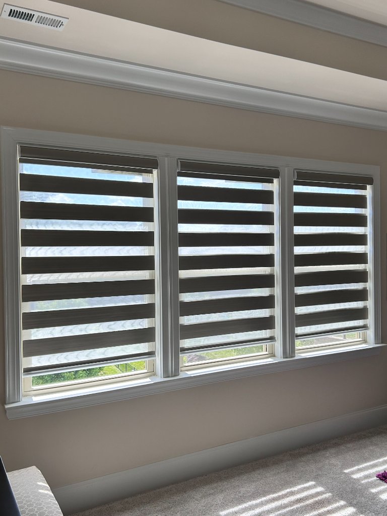 Zebra Blinds