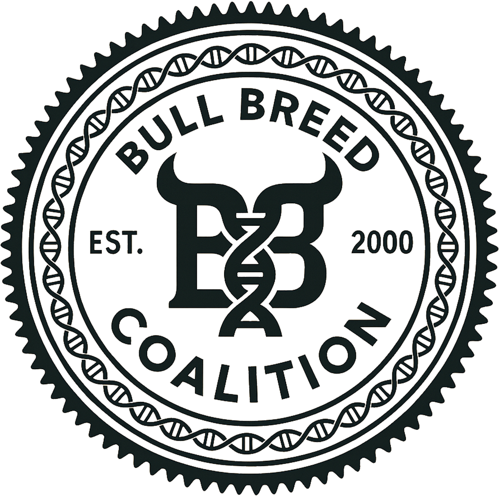 BBC Seal