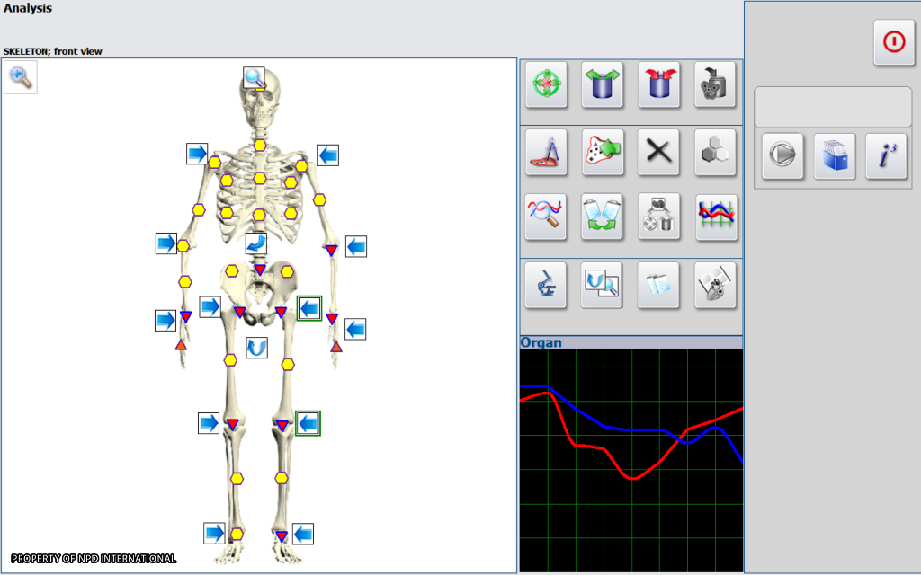 Full Body Assessment