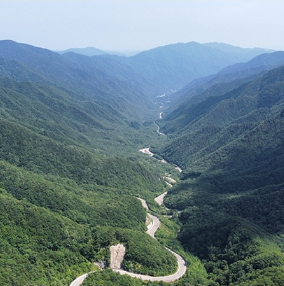 SPRING EPIC YANGGU LOOP