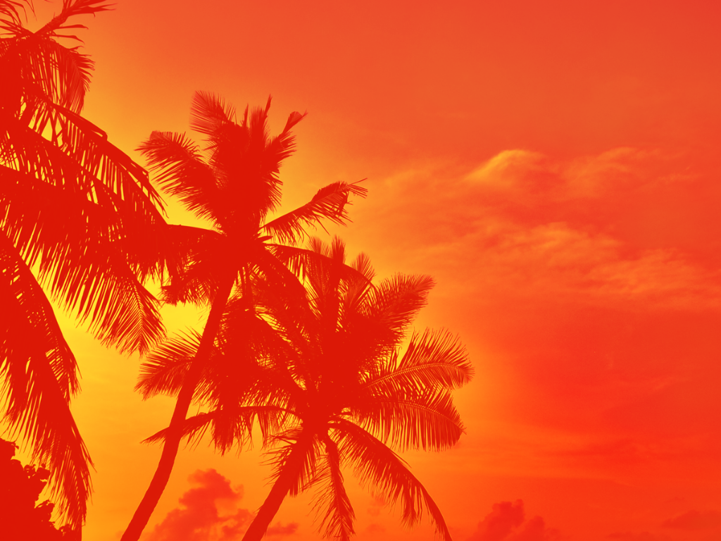 Tropisch Hawaii