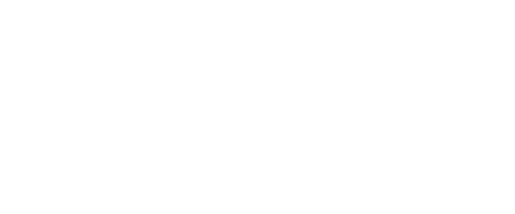 Press Logo 6