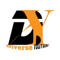 Diverse YouthNI Learning Hub  logo