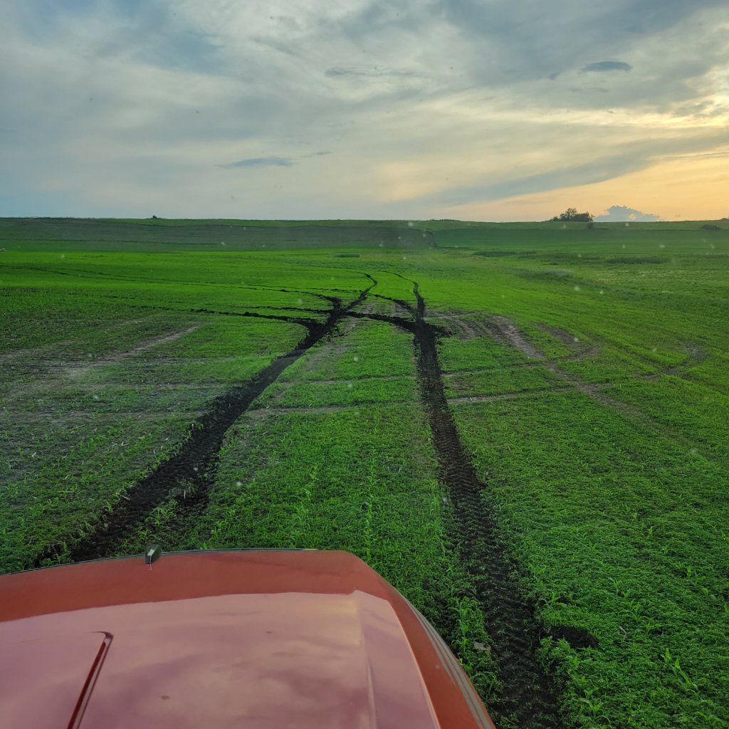 Green field from tractor