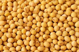 Soybeans