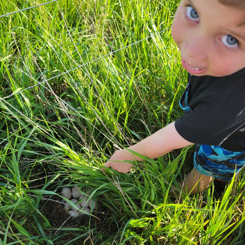 Young farmer in wheat field