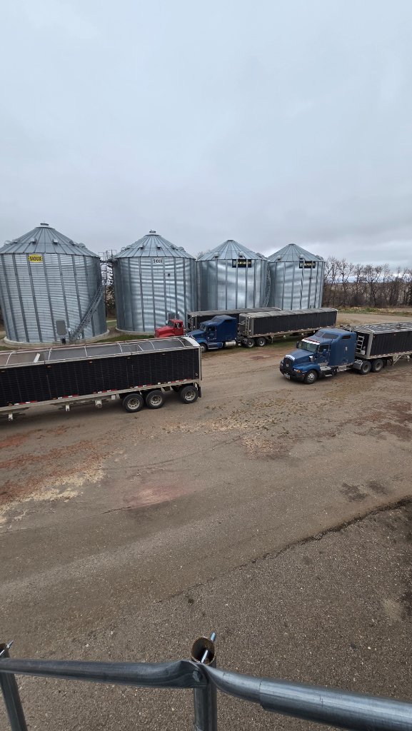 Grain bins and trucks