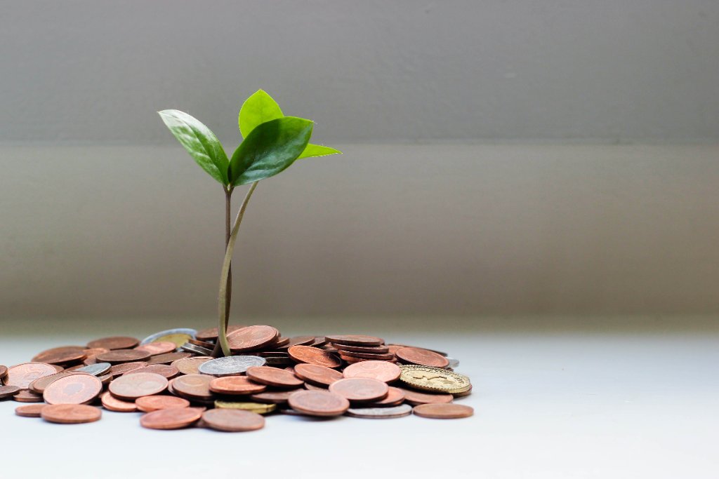 Economic growth and business development