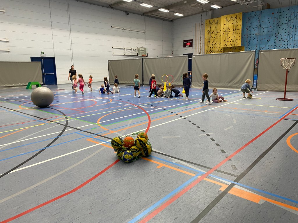 Activités & Stages